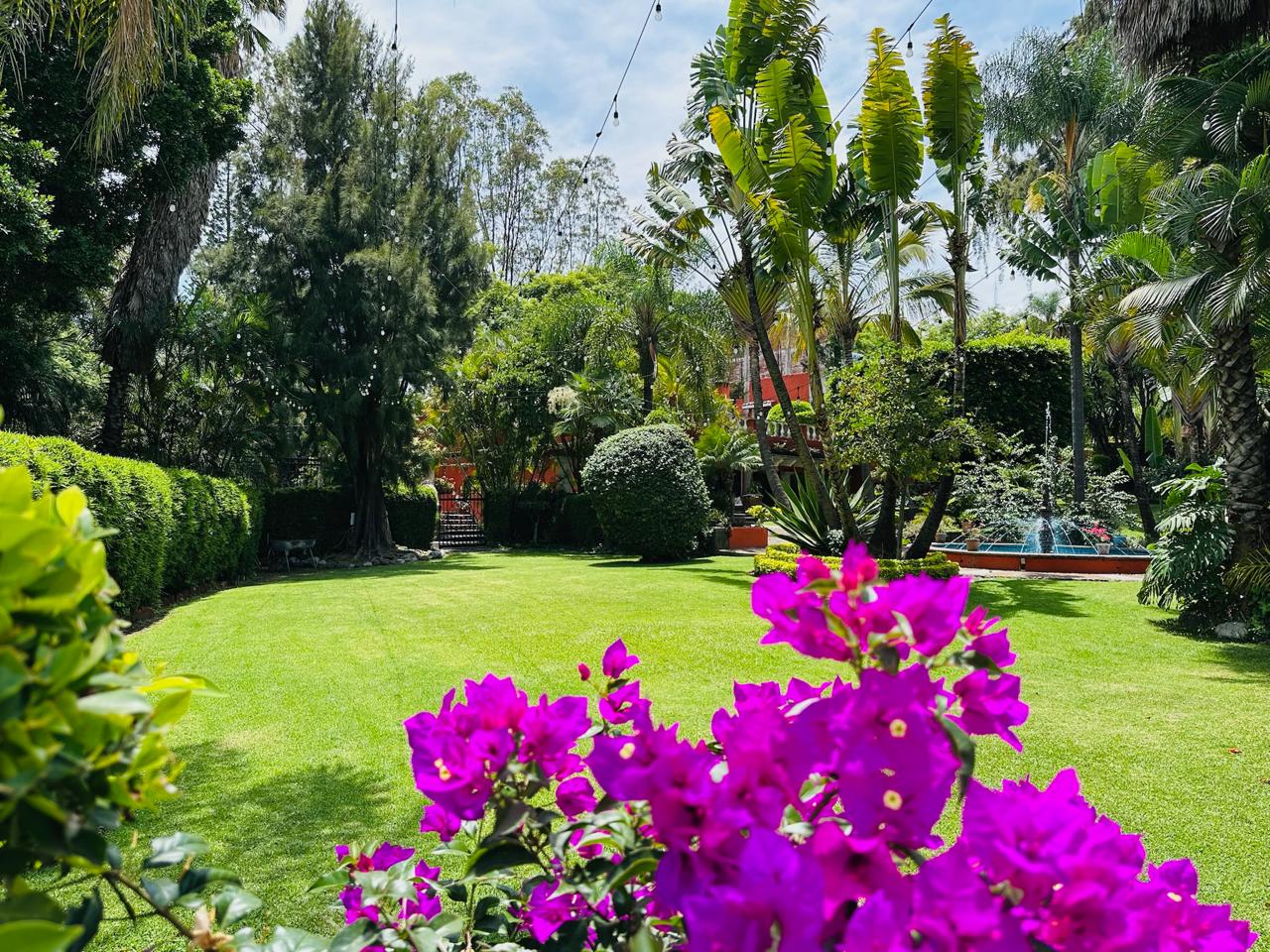 Jardín principal de Casa Ajusco 77 con bugambilias y vegetación